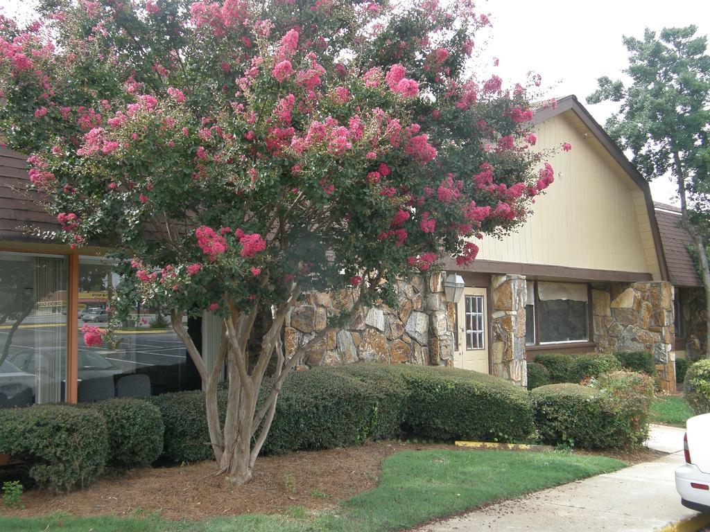 Economy Inn - Wesley Chapel Decatur Exterior foto